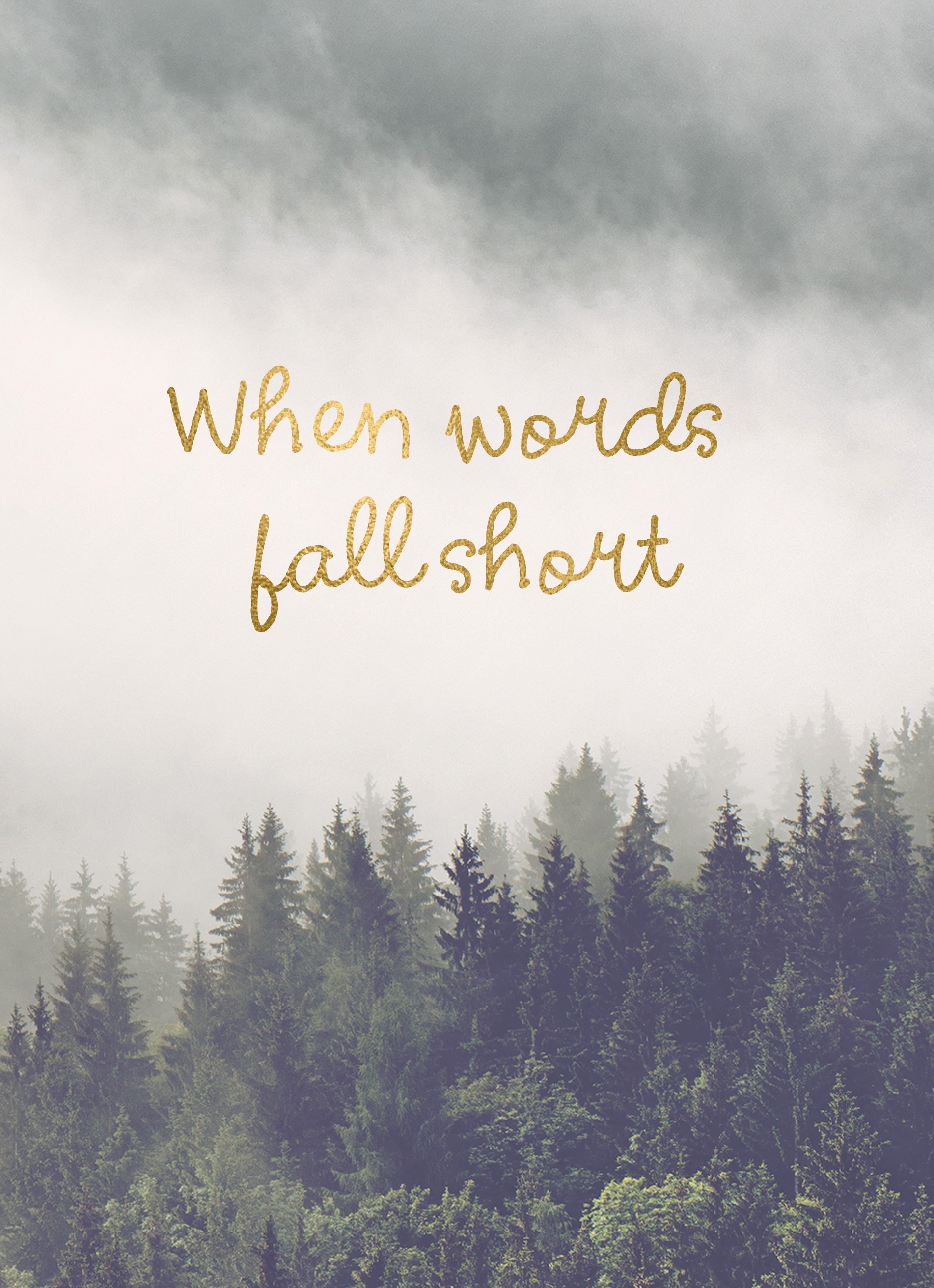 What Does Words Fall Short Mean