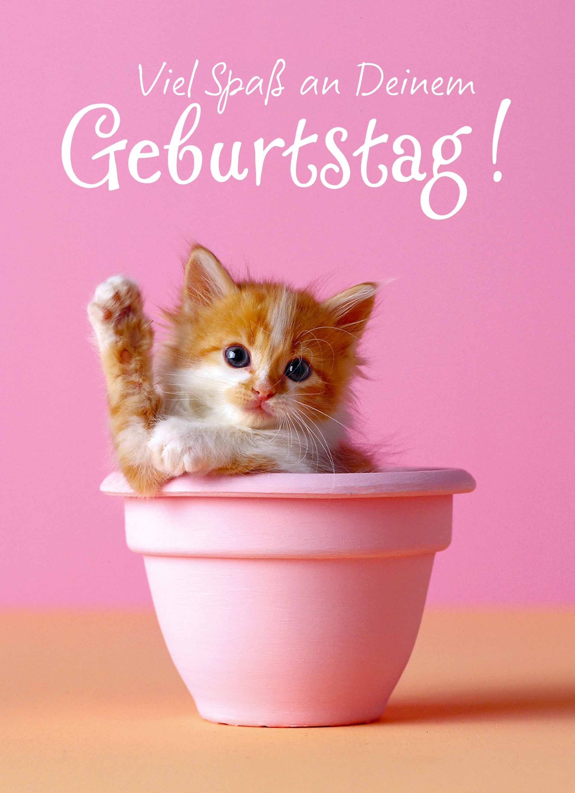 Karten geburtstag teenager maedchen suess niedlich tm Hallmark