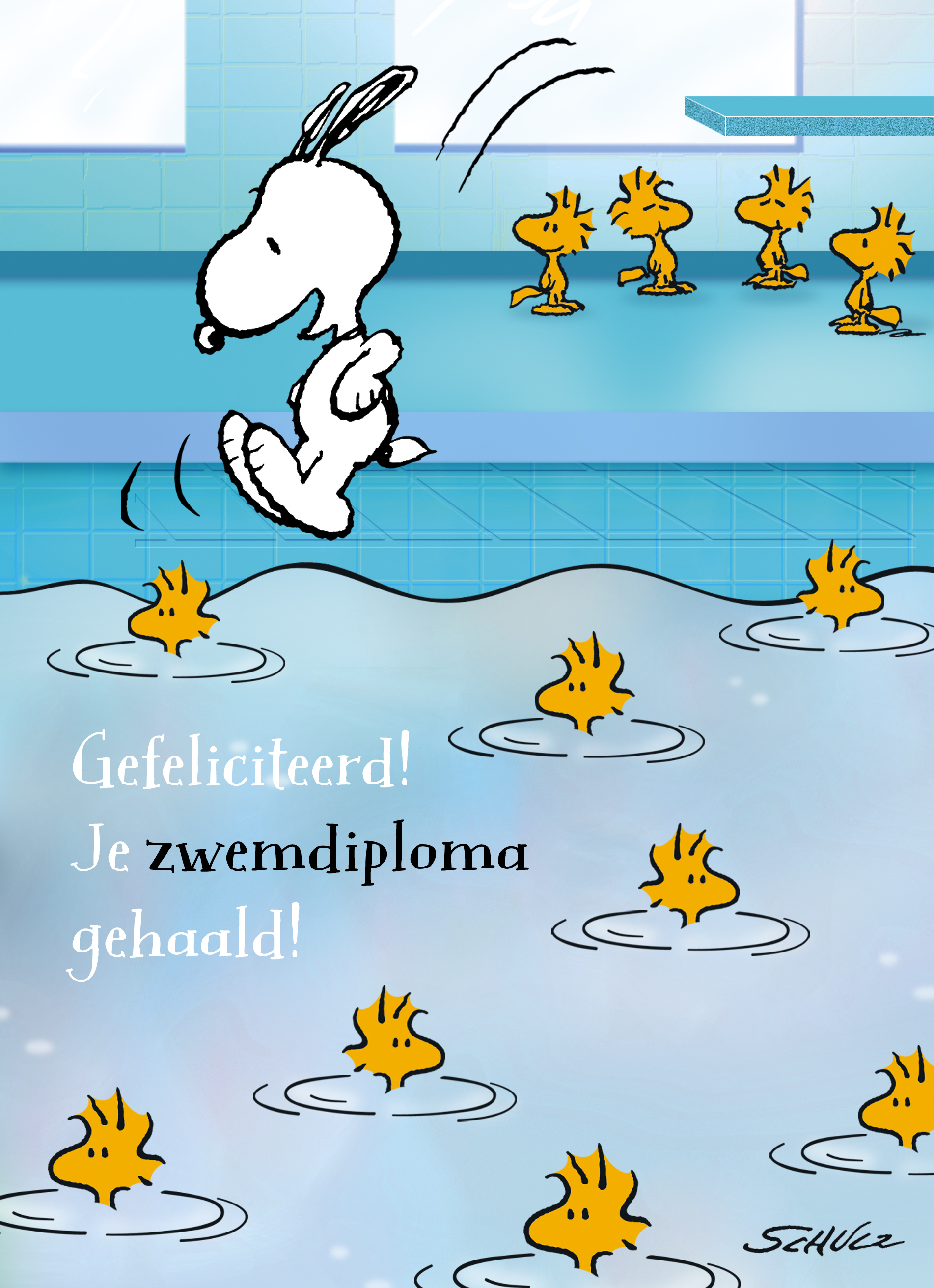 Purper Pathologisch Sluipmoordenaar Snoopy springt in zwembad | Hallmark
