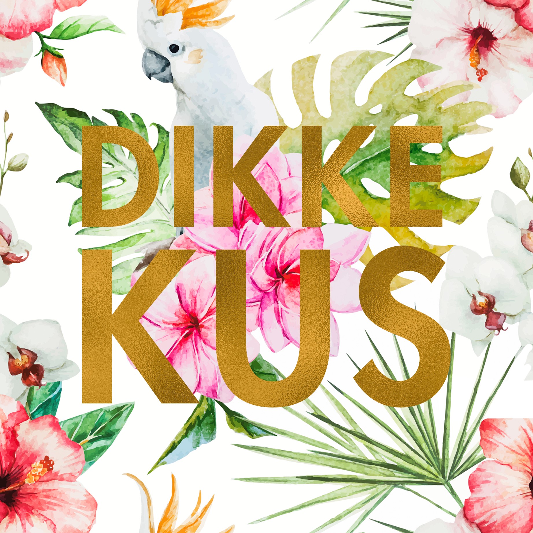 Een Hele Dikke Kus 