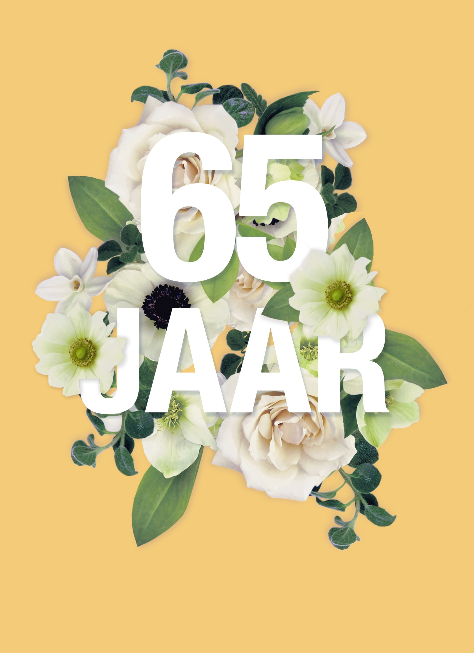 Kaarten Huwelijk 65 Jaar Briljant Hallmark