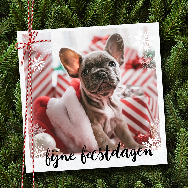 Kerstkaart Fotokaart Hond Fijne Feestdagen Hallmark