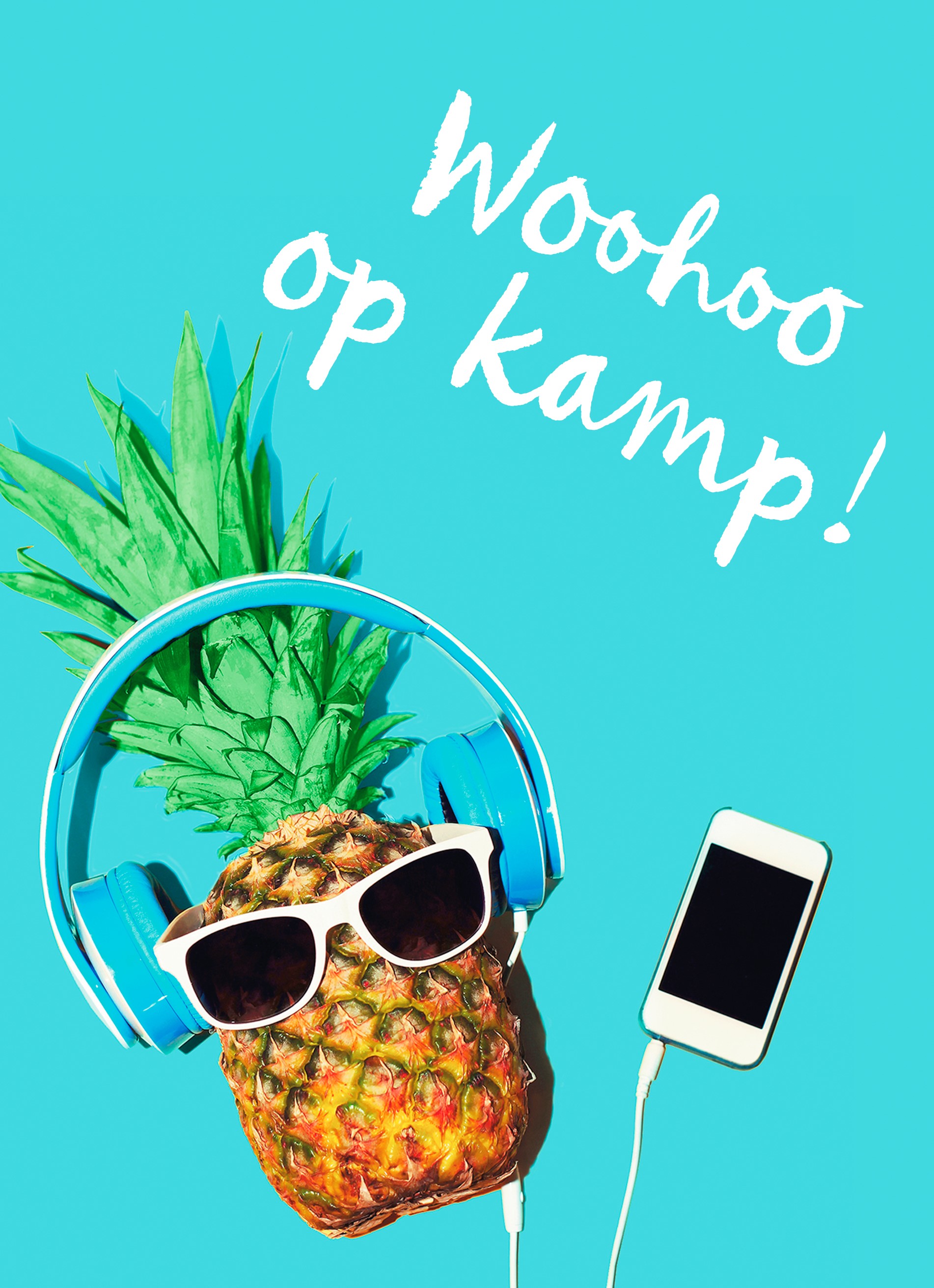 woohoo-op-kamp-ananas-hallmark